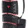 Dainese Pro-Armor Back Long Rugprotector